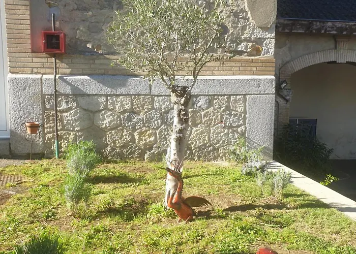 L'ecole Buissonniere Laroque-dʼOlmes