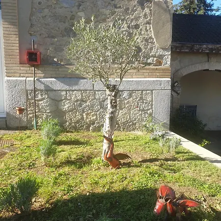 L'ecole Buissonniere Laroque-dʼOlmes